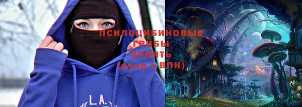 каннабис Арсеньев